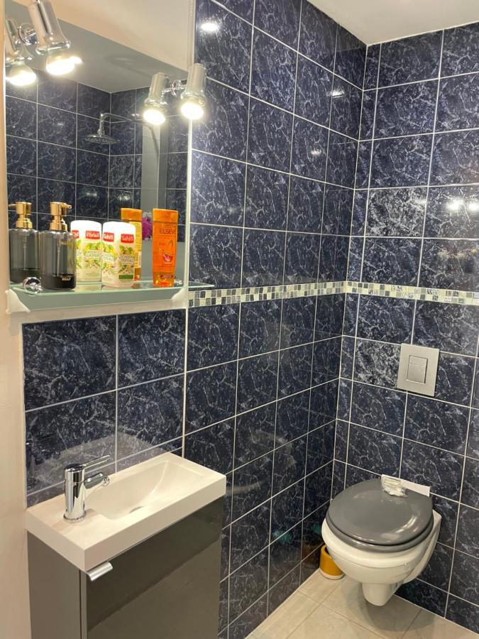 Studio 23 M2+Wifi +Parking Prive Aparthotel Oullins Bagian luar foto